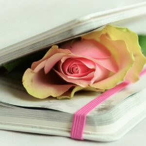 rose, book, poetry